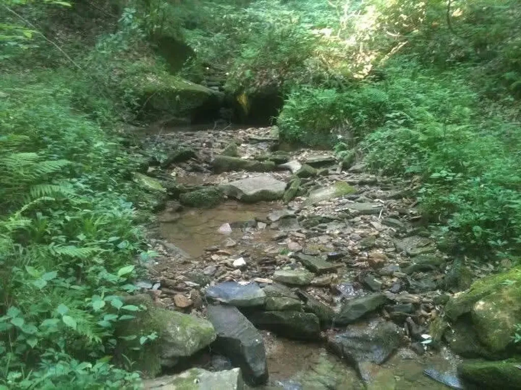 9999 Spruce Creek Road Corbin KY 40701