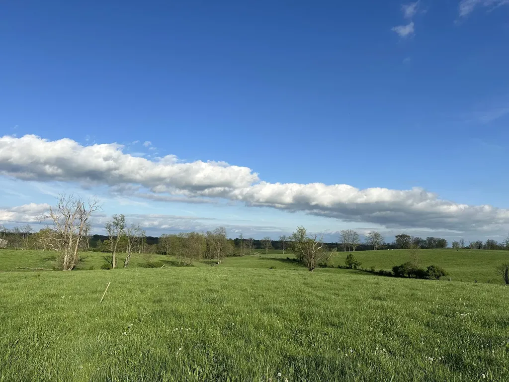 3451 Cynthiana Road Georgetown KY 40324