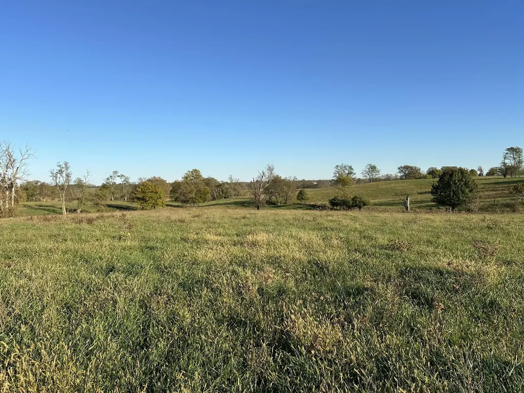3451 Cynthiana Road Georgetown KY 40324