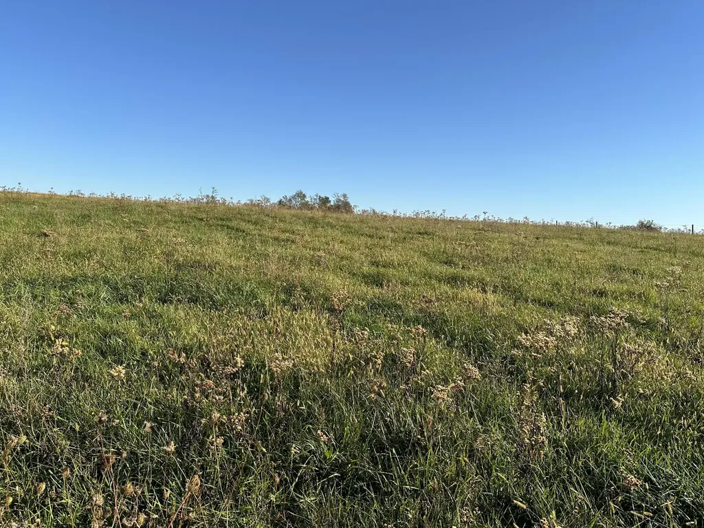 3451 Cynthiana Road Georgetown KY 40324