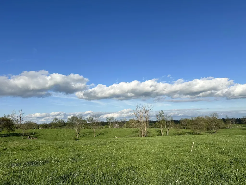 3451 Cynthiana Road Georgetown KY 40324