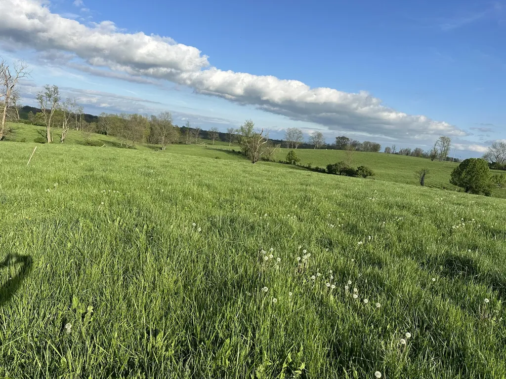 3451 Cynthiana Road Georgetown KY 40324