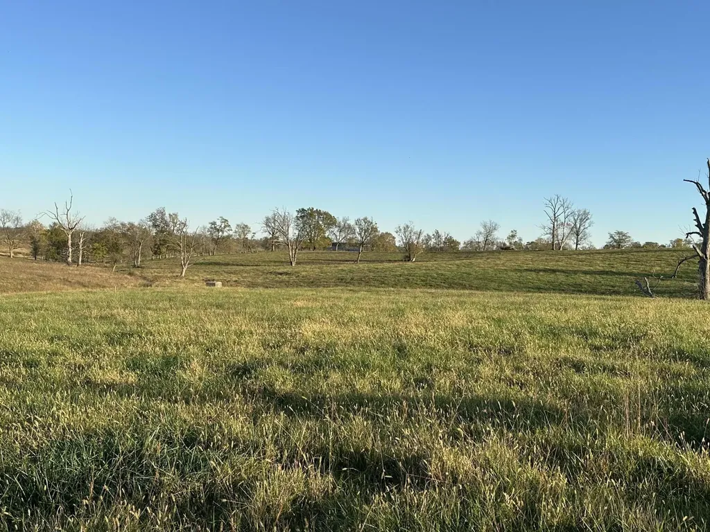 3569 Cynthiana Road Georgetown KY 40324