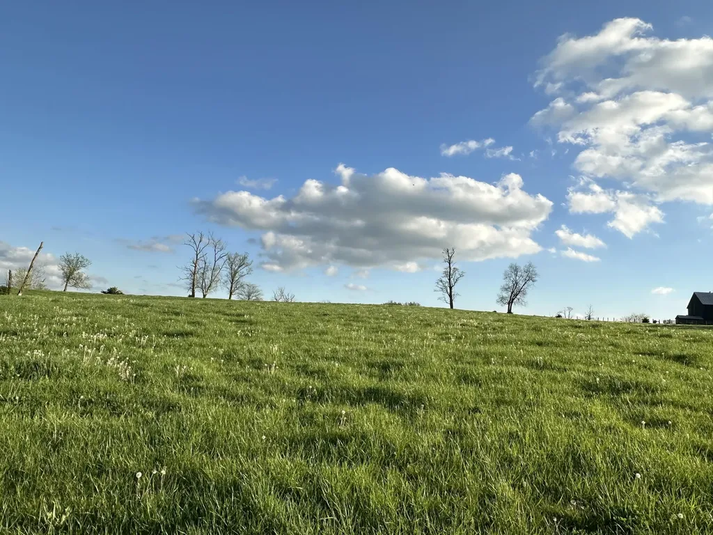 3523 Cynthiana Road Georgetown KY 40324