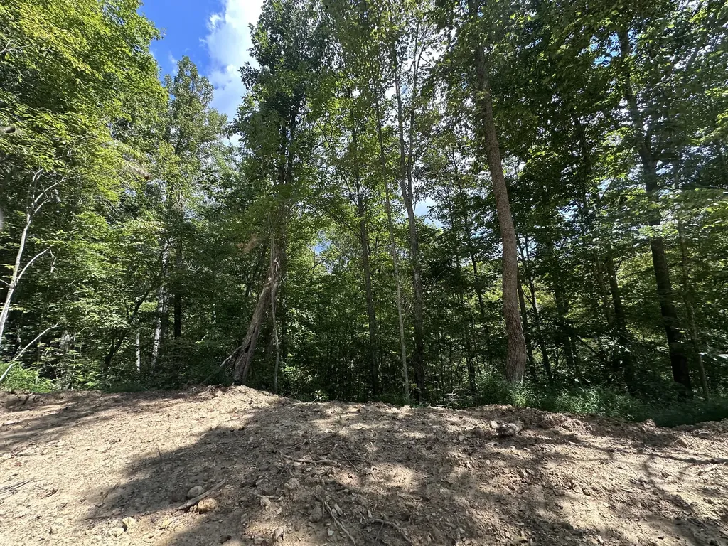 424-TRACT 6 W 577 Highway Manchester KY 40962