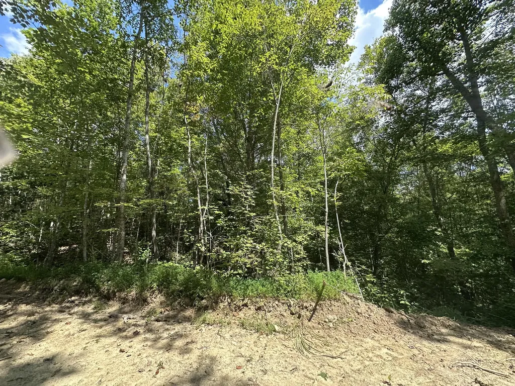 424-TRACT 6 W 577 Highway Manchester KY 40962