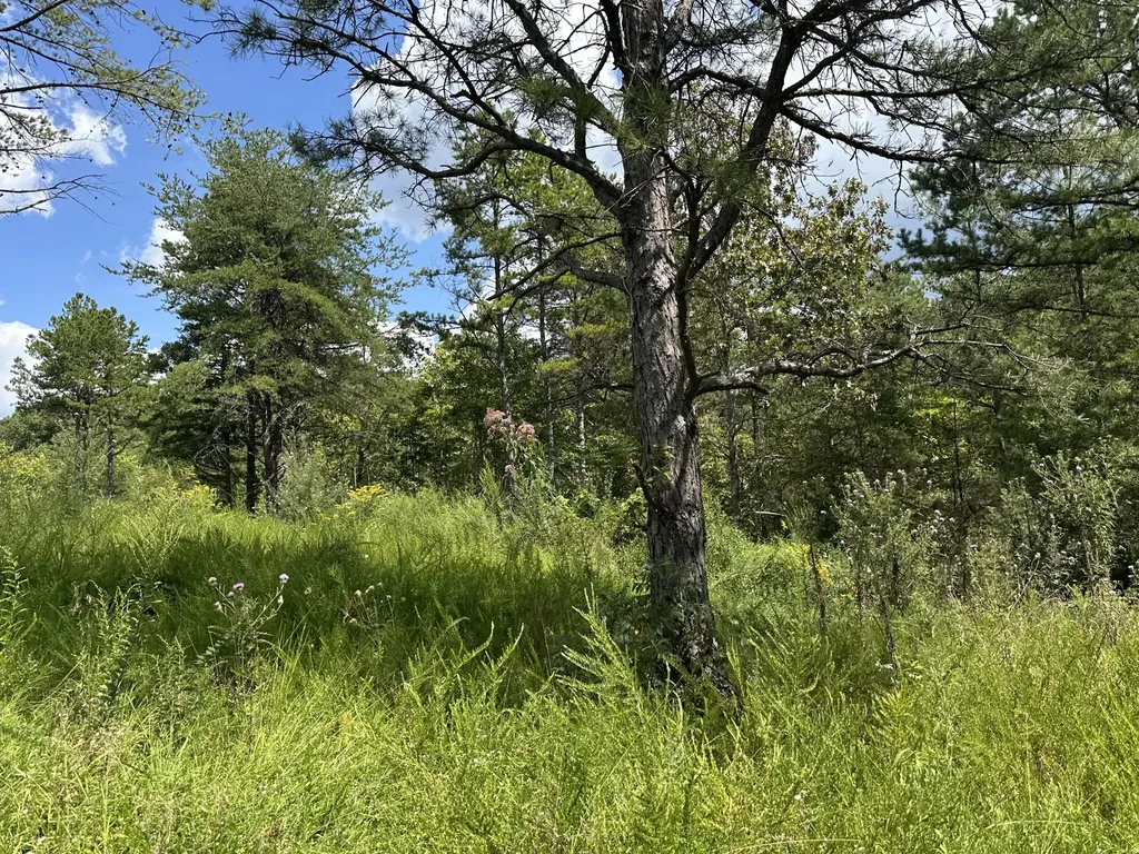 424-TRACT 6 W 577 Highway Manchester KY 40962