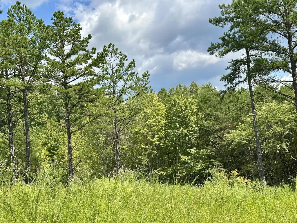 424-TRACT 6 W 577 Highway Manchester KY 40962