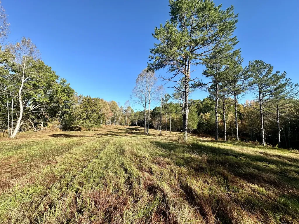 424-TRACT 6 W 577 Highway Manchester KY 40962