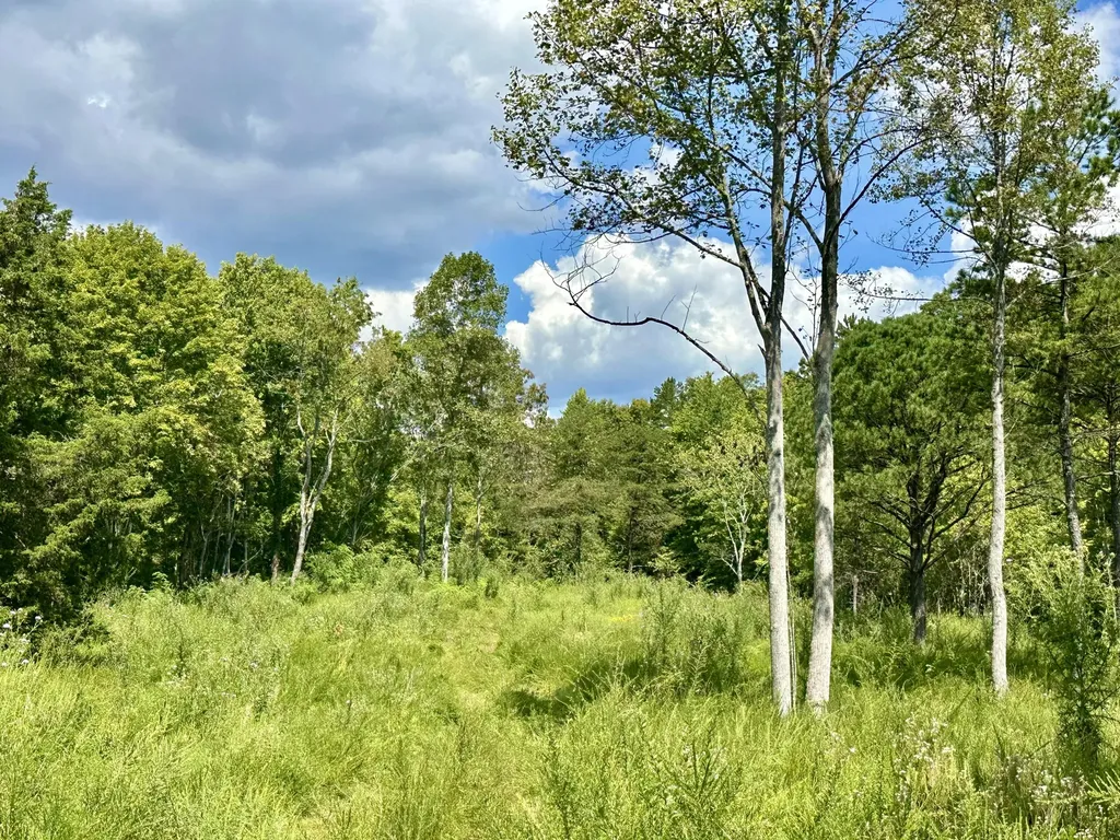 424-TRACT 6 W 577 Highway Manchester KY 40962