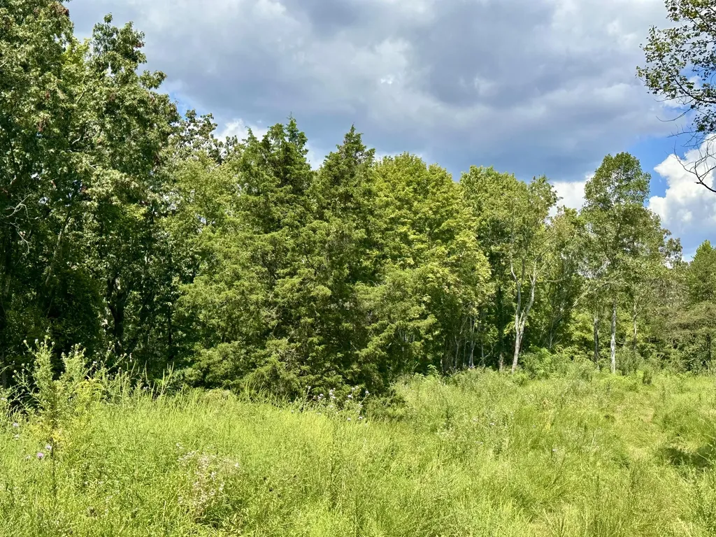 424-TRACT 6 W 577 Highway Manchester KY 40962