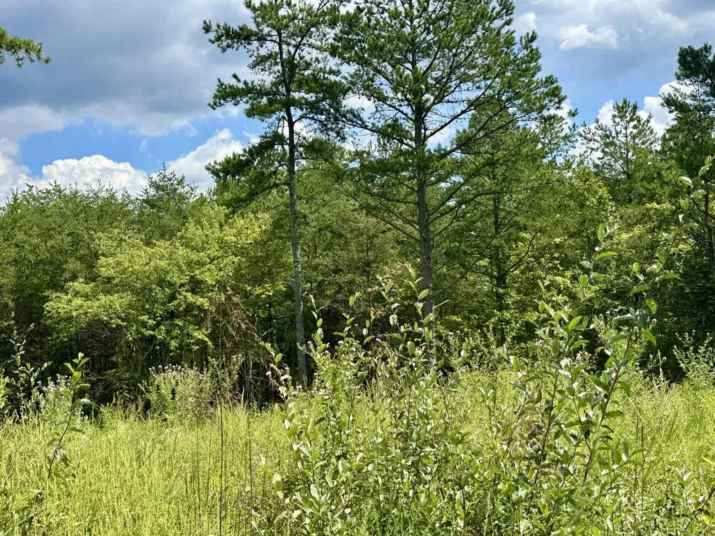 424-TRACT 6 W 577 Highway Manchester KY 40962