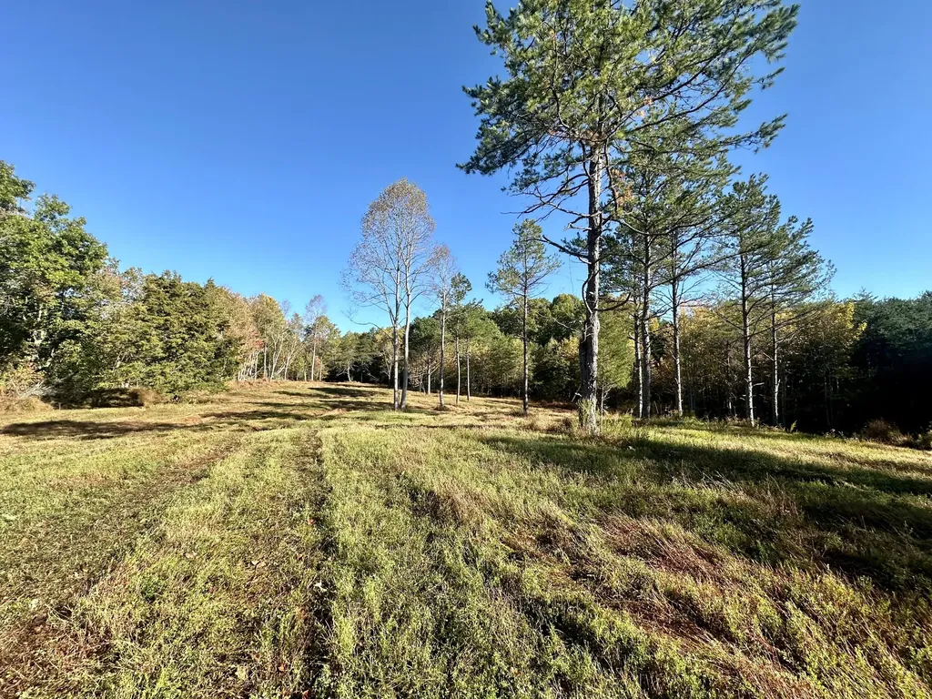 424-TRACT 6 W 577 Highway Manchester KY 40962