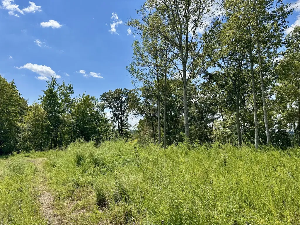 424-TRACT 6 W 577 Highway Manchester KY 40962