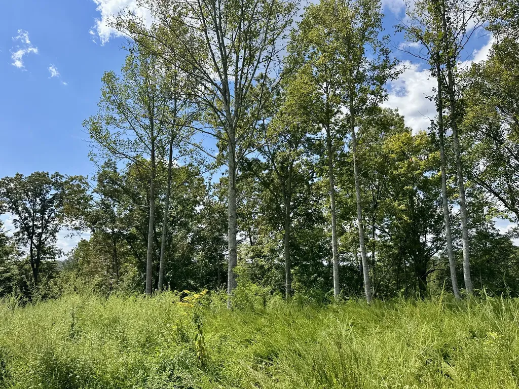 424-TRACT 6 W 577 Highway Manchester KY 40962