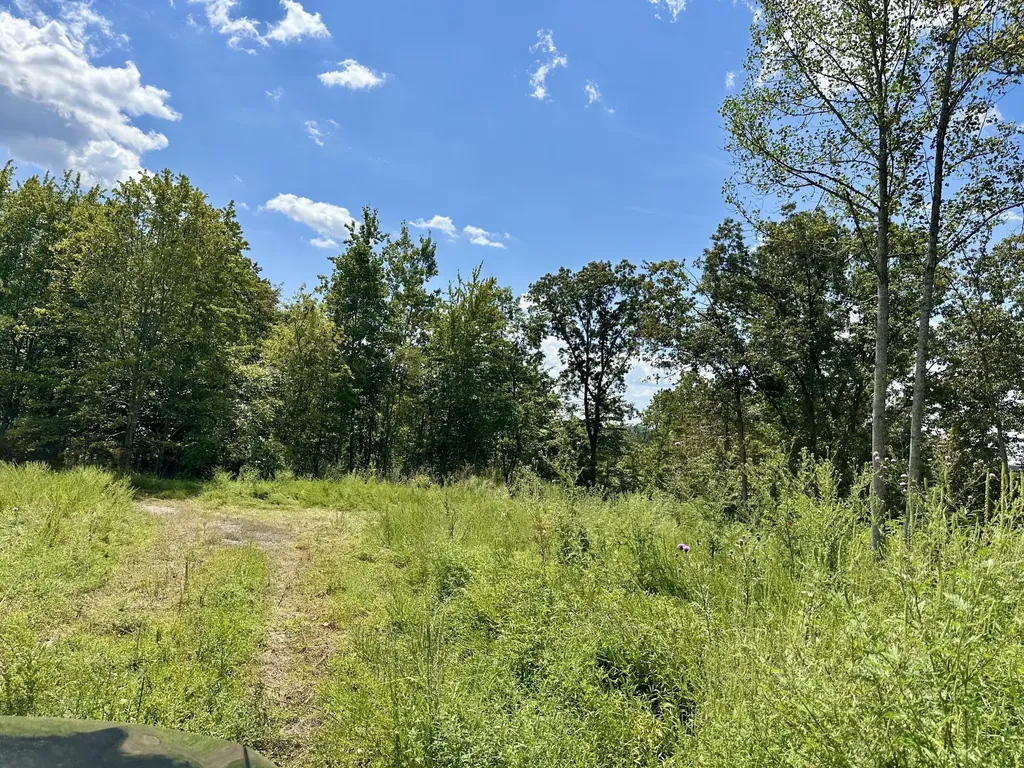 424-TRACT 6 W 577 Highway Manchester KY 40962