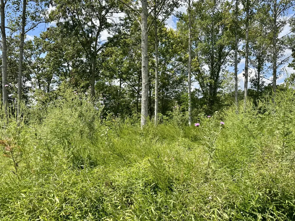 424-TRACT 6 W 577 Highway Manchester KY 40962