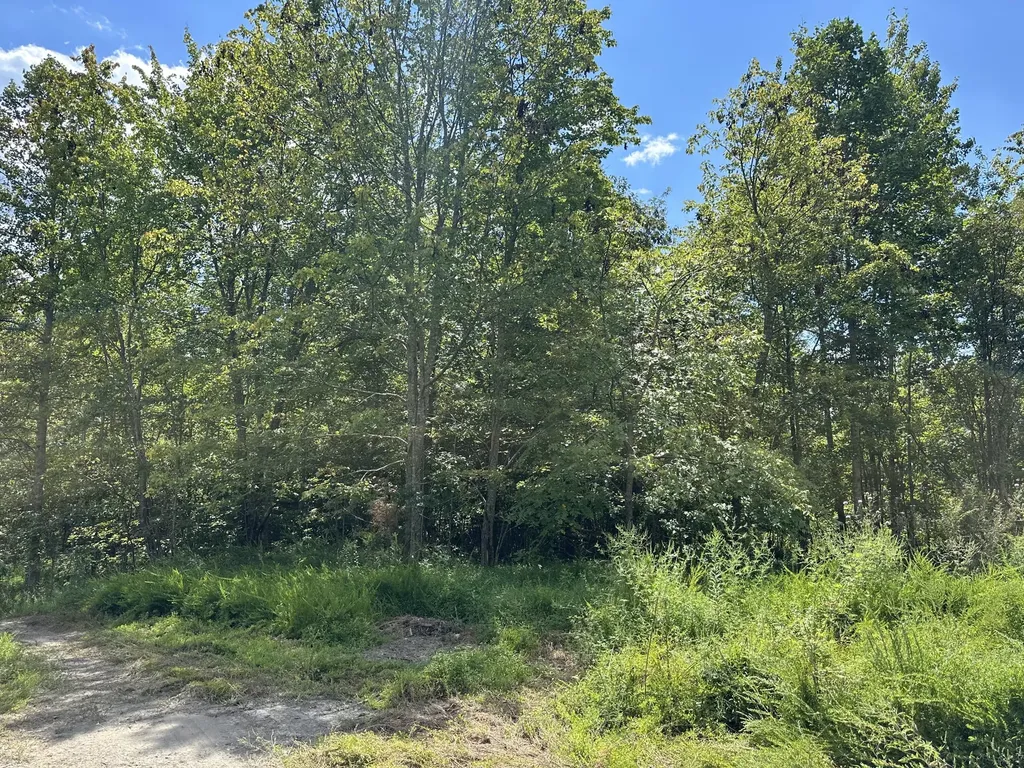 424-TRACT 6 W 577 Highway Manchester KY 40962