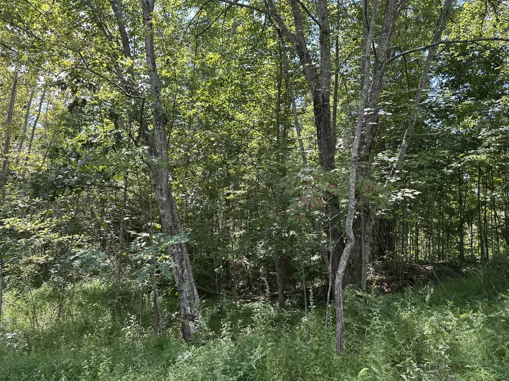 424-TRACT 6 W 577 Highway Manchester KY 40962