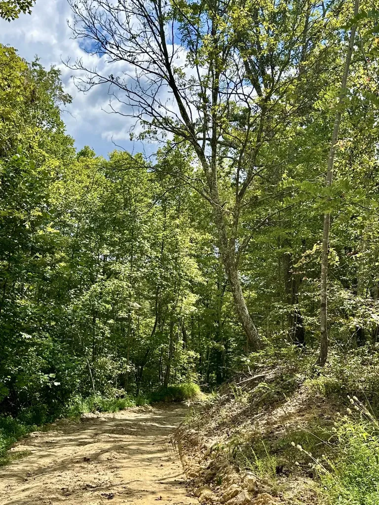 424-TRACT 6 W 577 Highway Manchester KY 40962