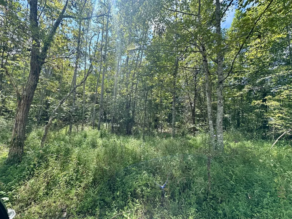 424-TRACT 6 W 577 Highway Manchester KY 40962