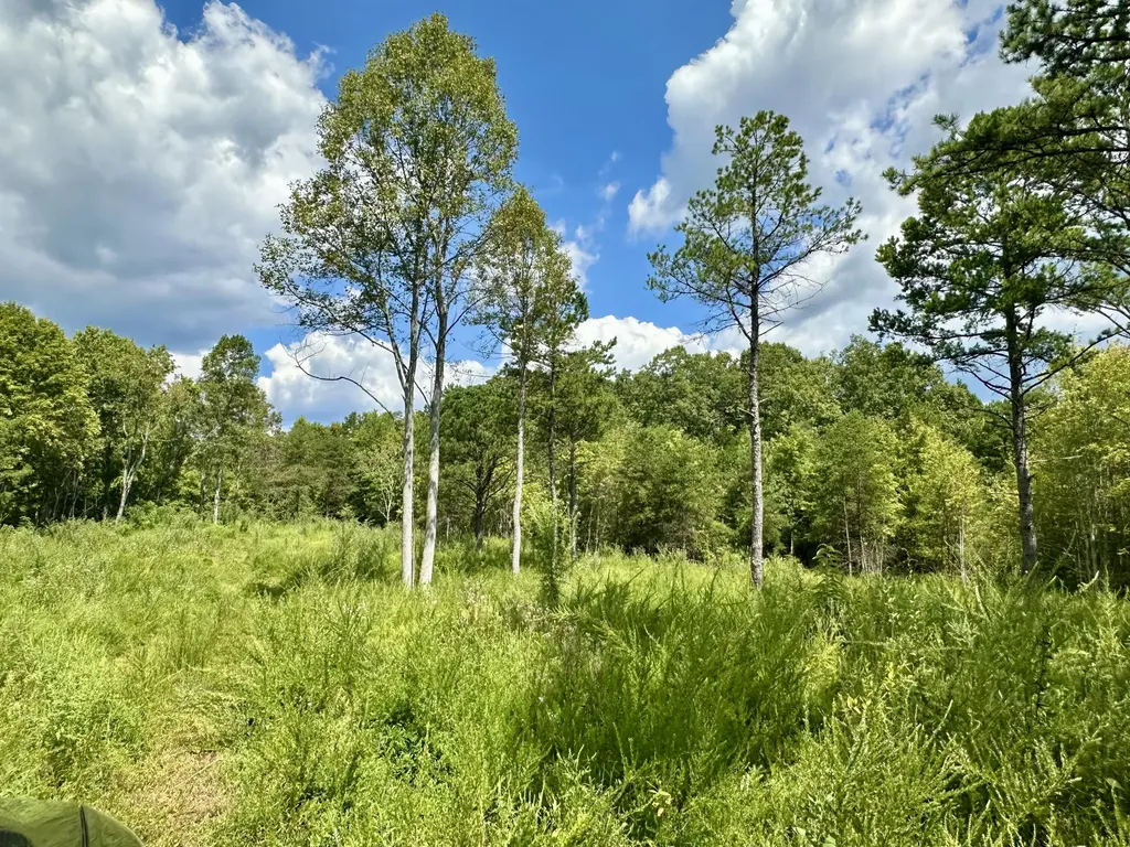 424-TRACT 6 W 577 Highway Manchester KY 40962