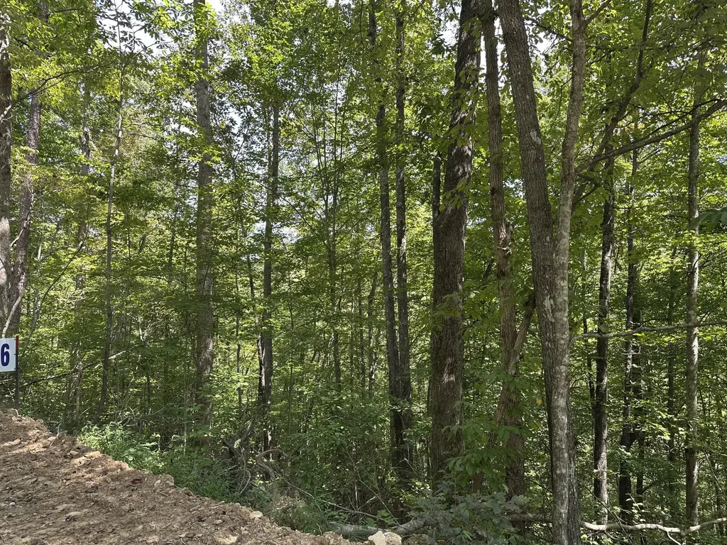 424-TRACT 6 W 577 Highway Manchester KY 40962