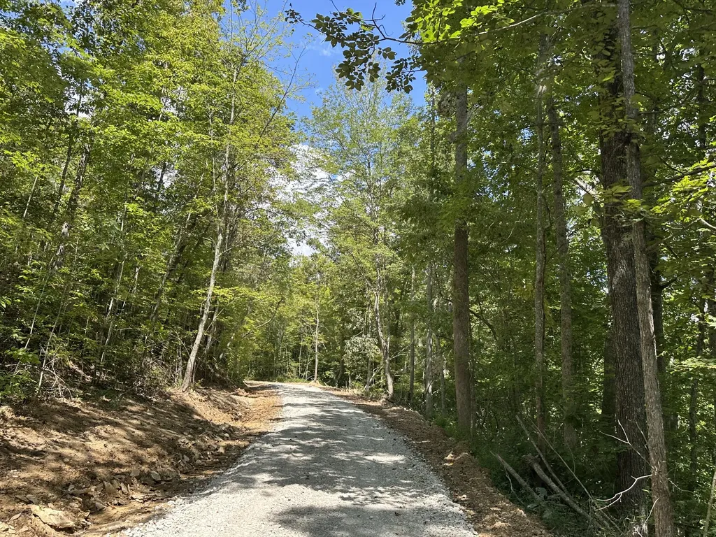 424-TRACT 6 W 577 Highway Manchester KY 40962