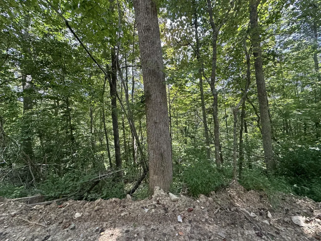424-TRACT 6 W 577 Highway Manchester KY 40962
