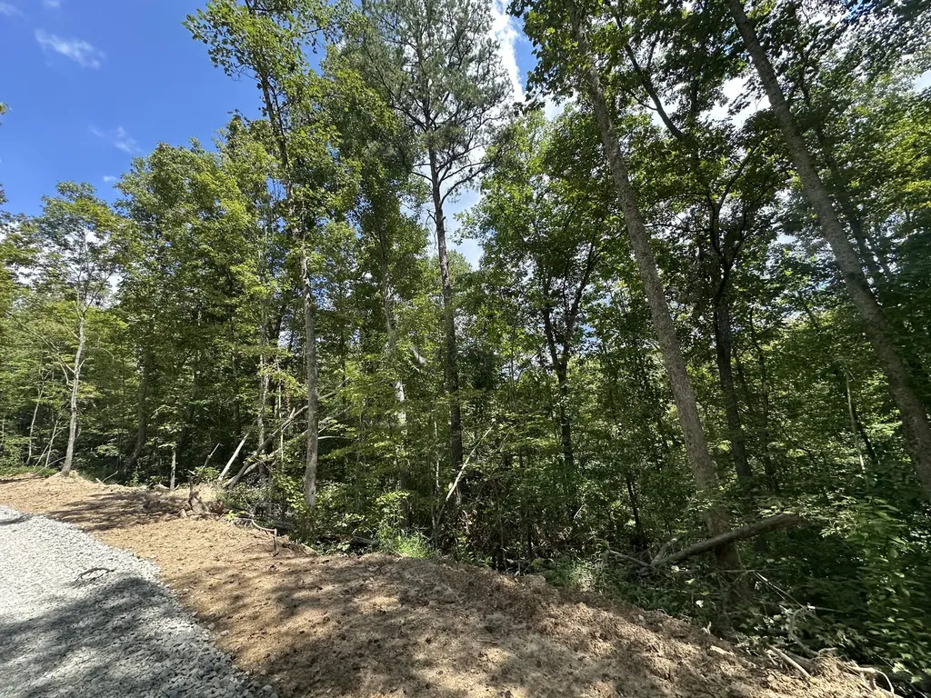 424-TRACT 6 W 577 Highway Manchester KY 40962