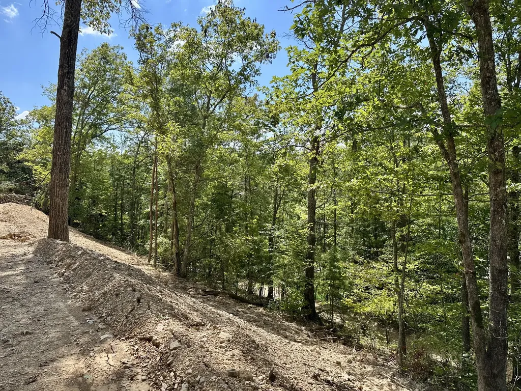 424- Tract 4 W 577 Highway Manchester KY 40962