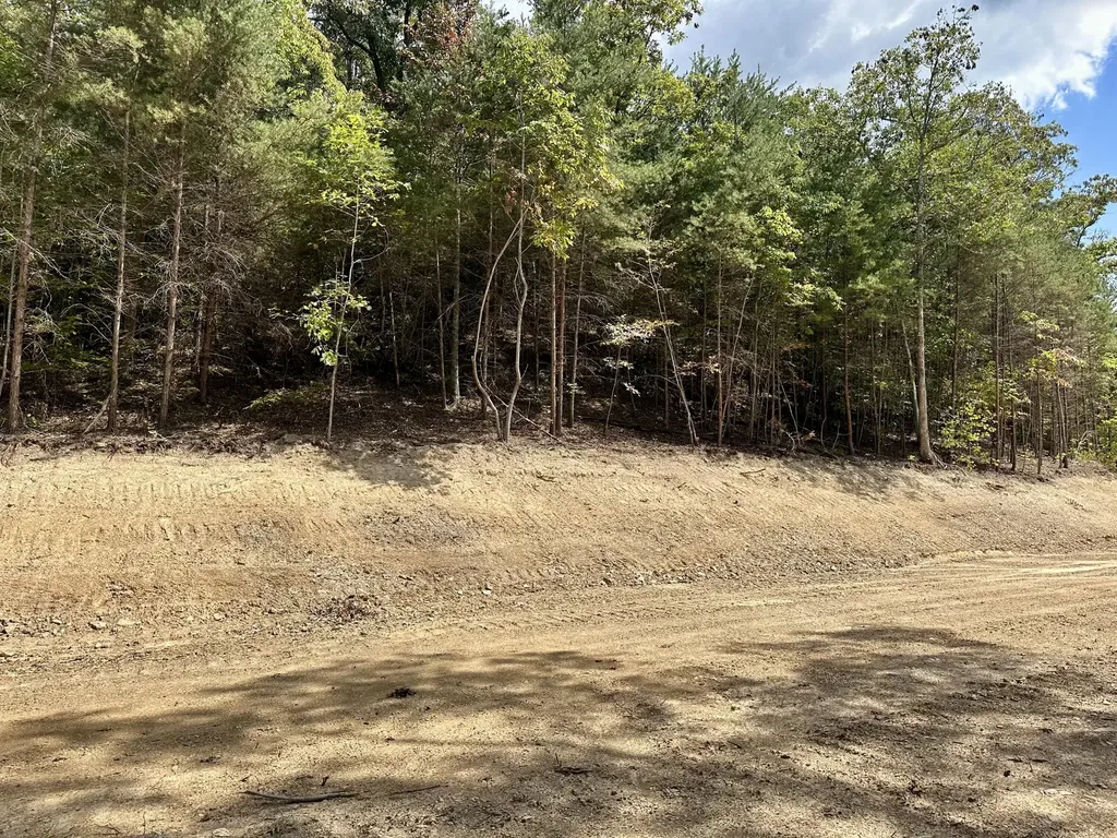 424- Tract 4 W 577 Highway Manchester KY 40962