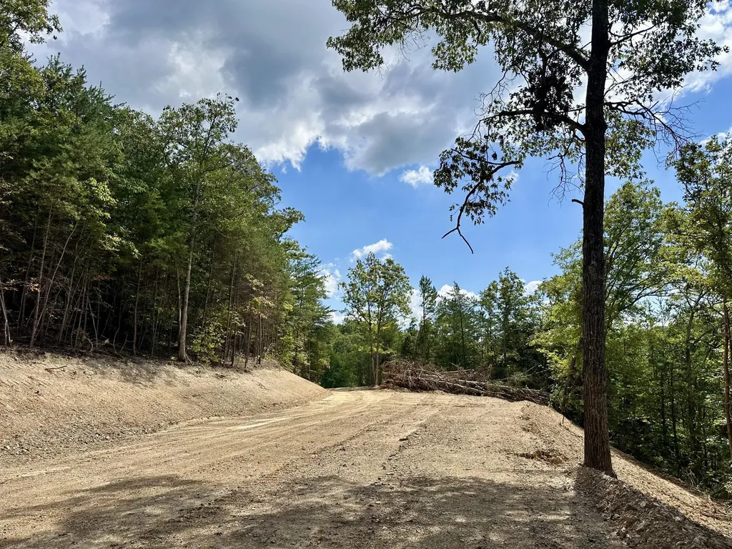 424- Tract 4 W 577 Highway Manchester KY 40962