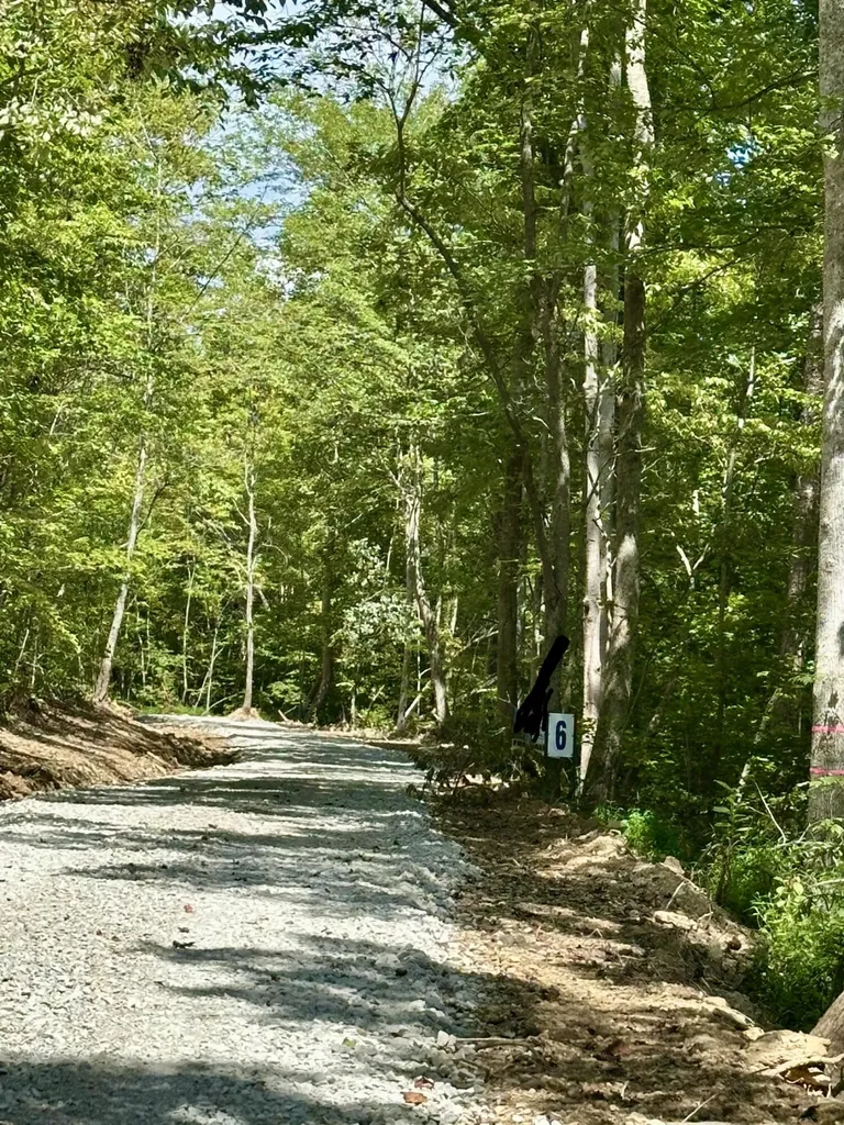 424- Tract 4 W 577 Highway Manchester KY 40962