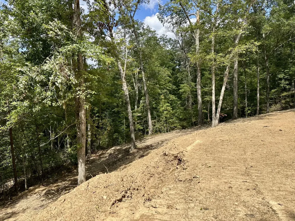424- Tract 4 W 577 Highway Manchester KY 40962