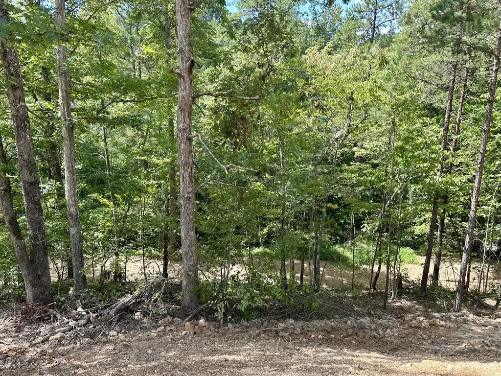424- Tract 4 W 577 Highway Manchester KY 40962