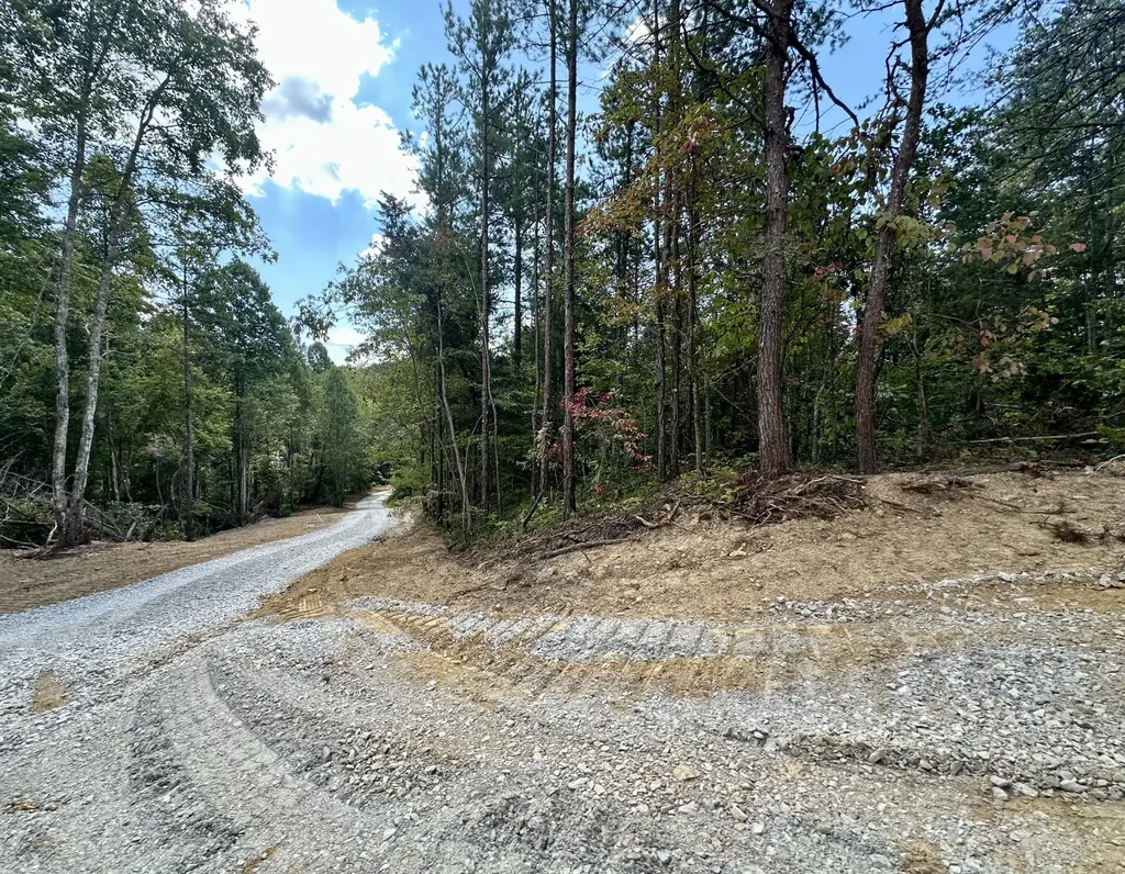 424- Tract 4 W 577 Highway Manchester KY 40962