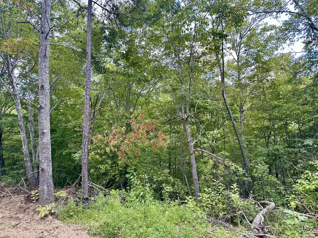 424-TRACT 5 W 577 Highway Manchester KY 40962