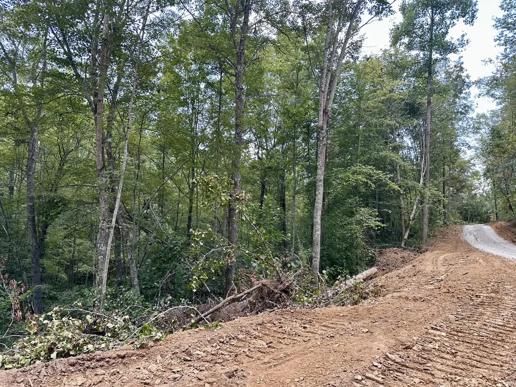 424-TRACT 5 W 577 Highway Manchester KY 40962