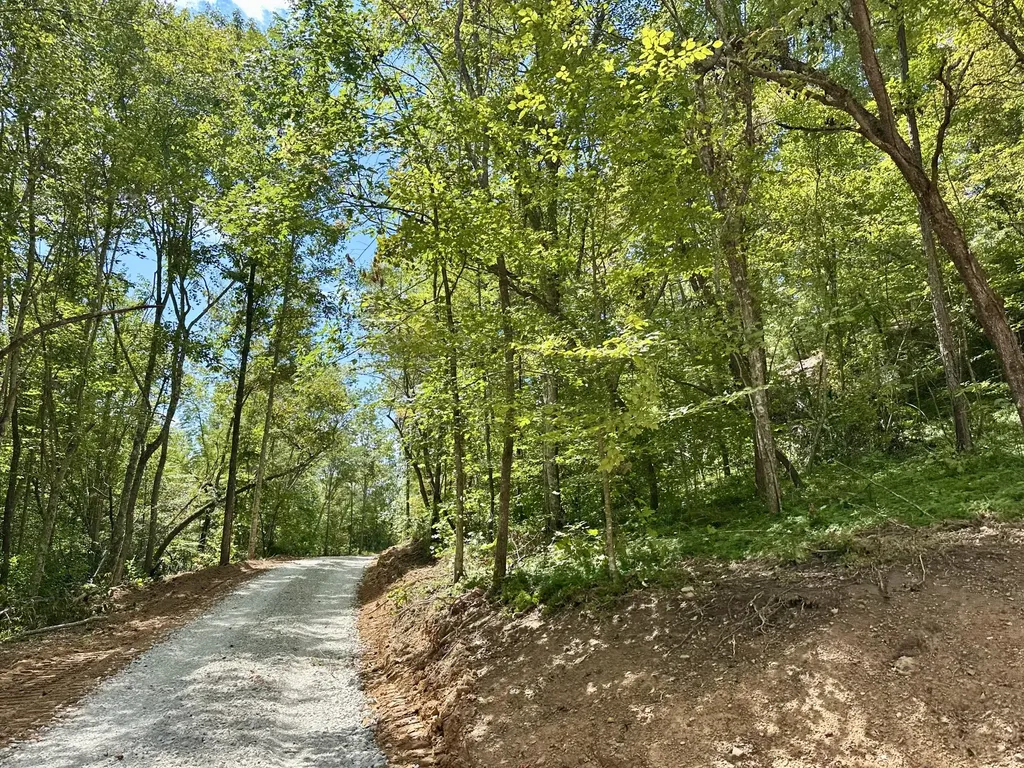 424-TRACT 5 W 577 Highway Manchester KY 40962