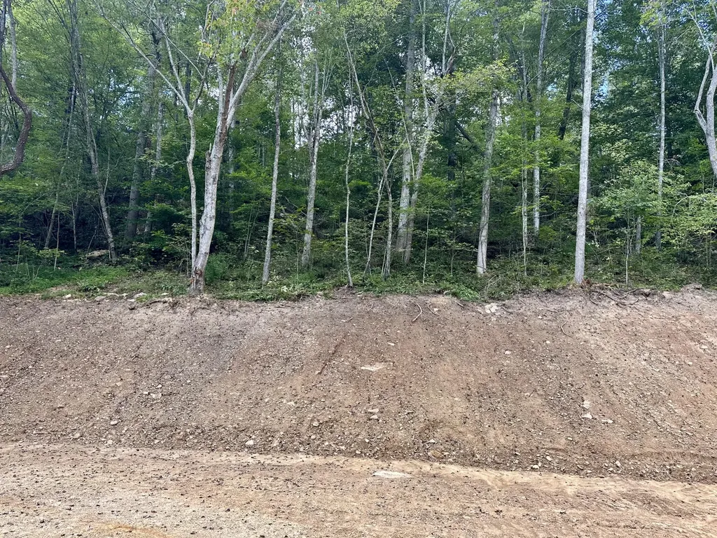 424-TRACT 5 W 577 Highway Manchester KY 40962