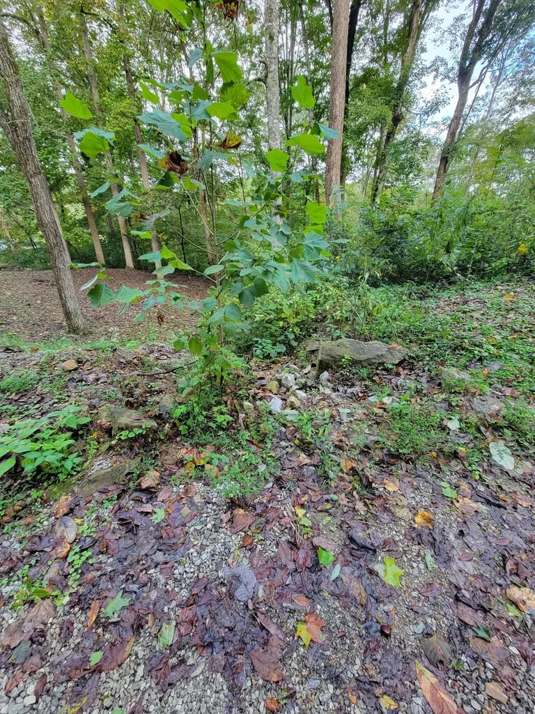 150 Punchs End Burnside KY 42519
