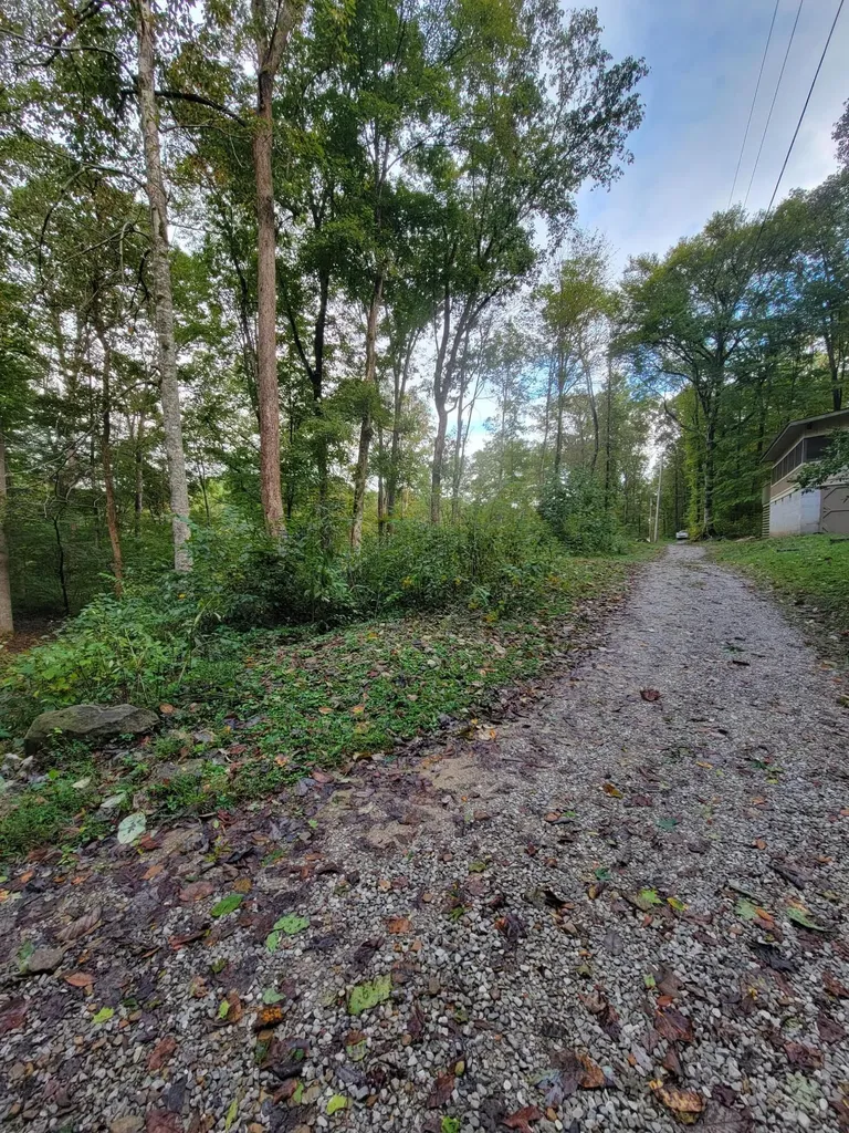 150 Punchs End Burnside KY 42519