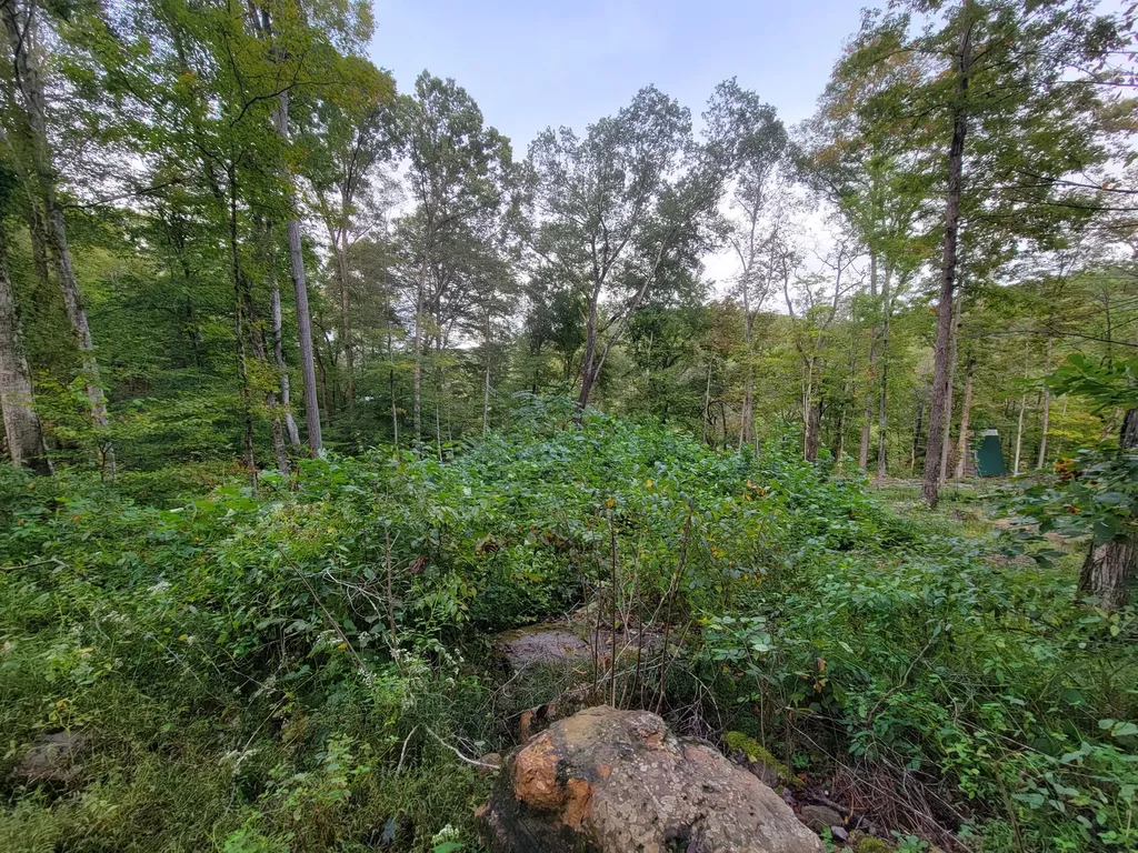 150 Punchs End Burnside KY 42519