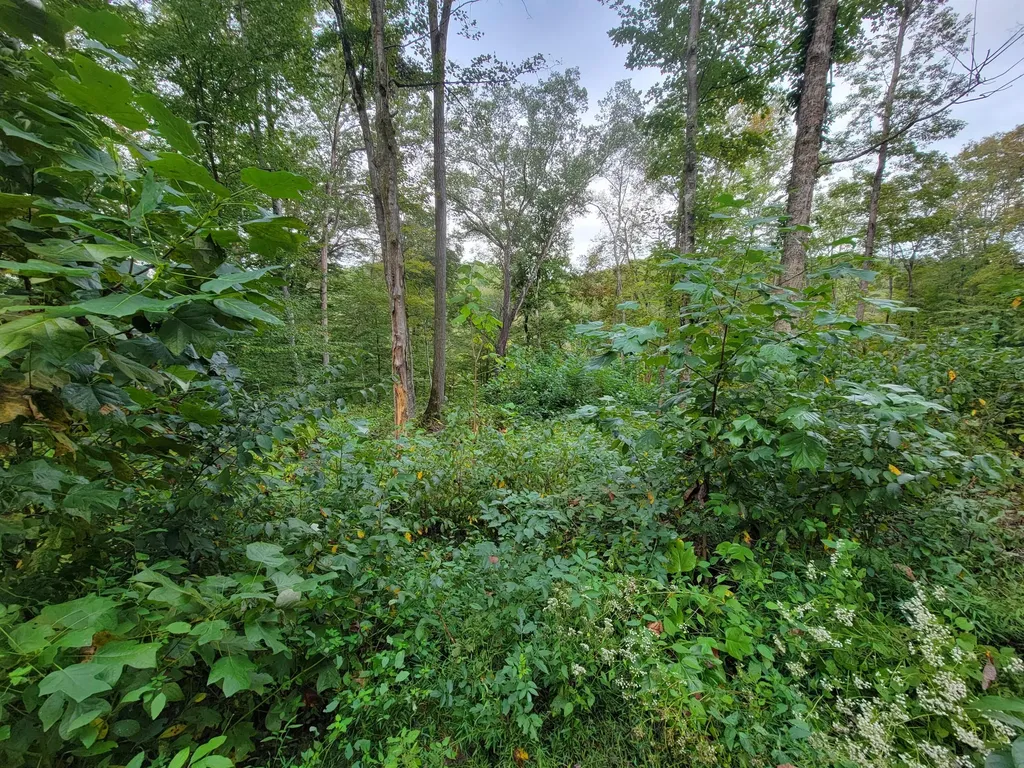 150 Punchs End Burnside KY 42519