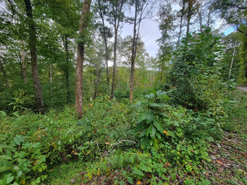 150 Punchs End Burnside KY 42519