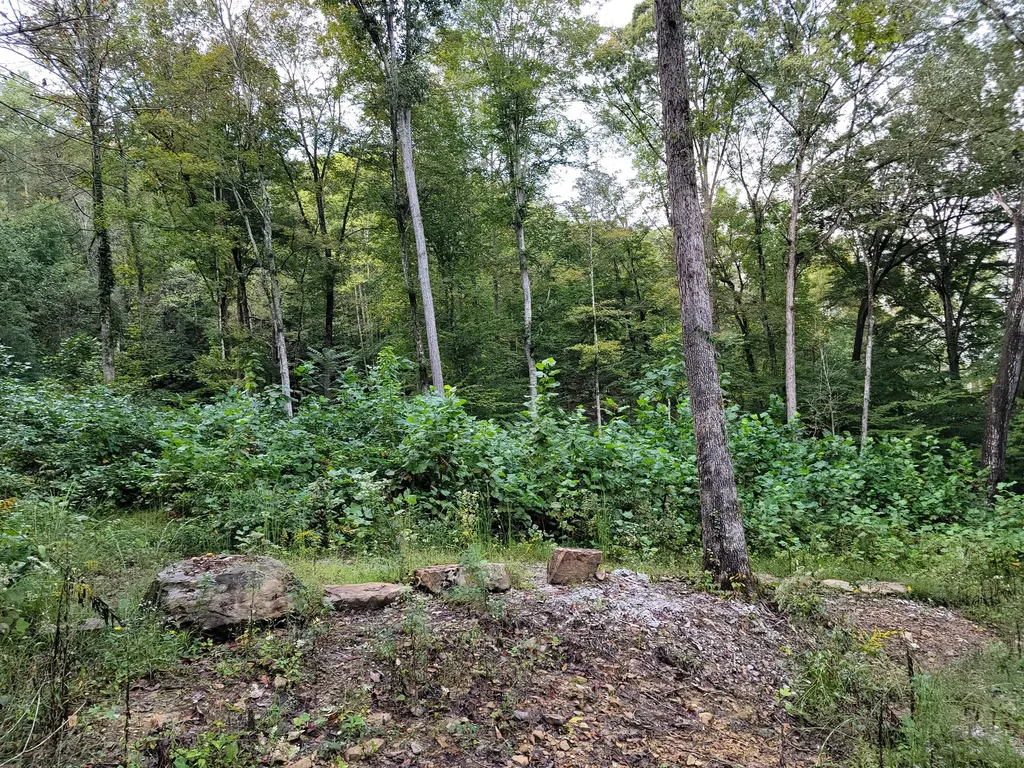 150 Punchs End Burnside KY 42519