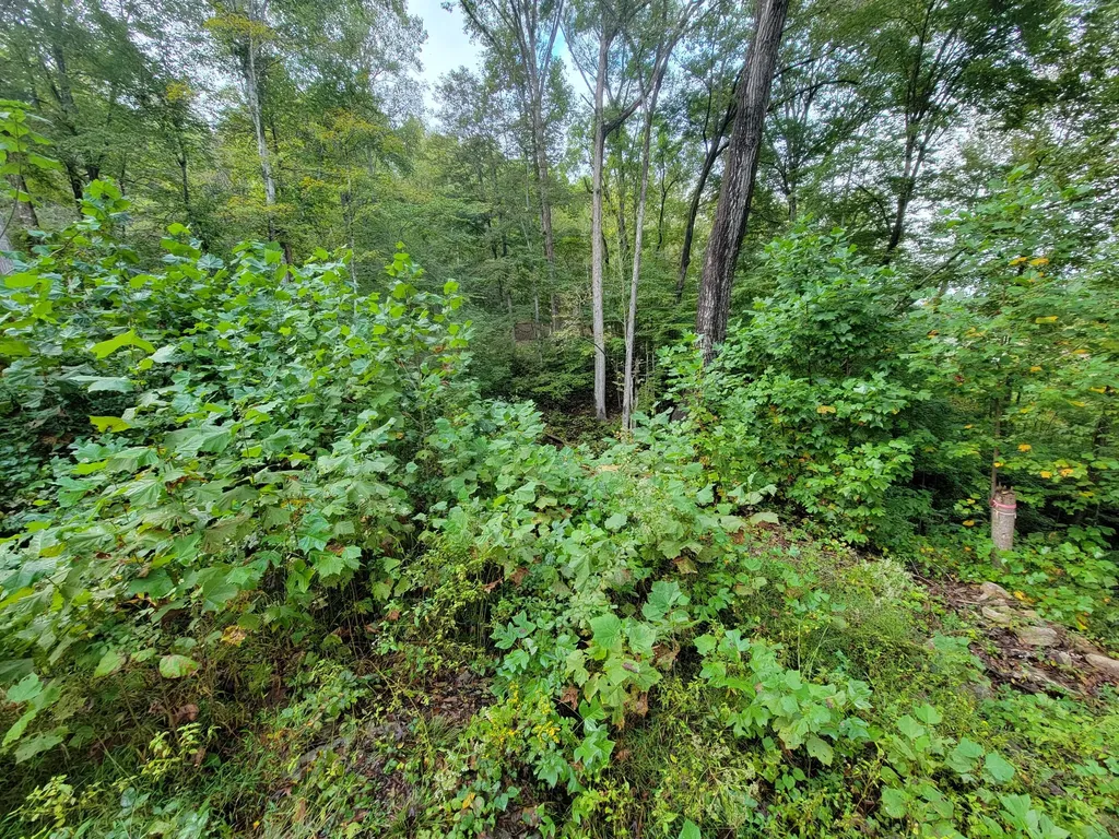 150 Punchs End Burnside KY 42519