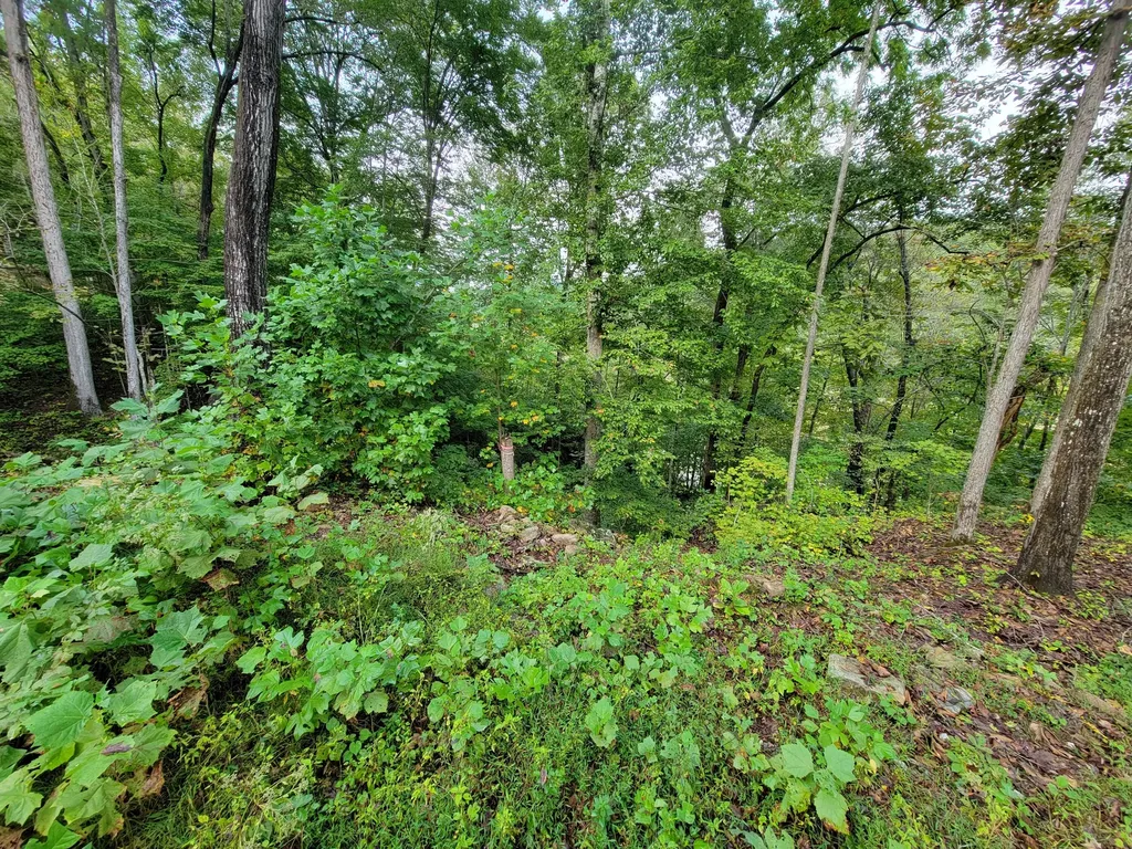 150 Punchs End Burnside KY 42519
