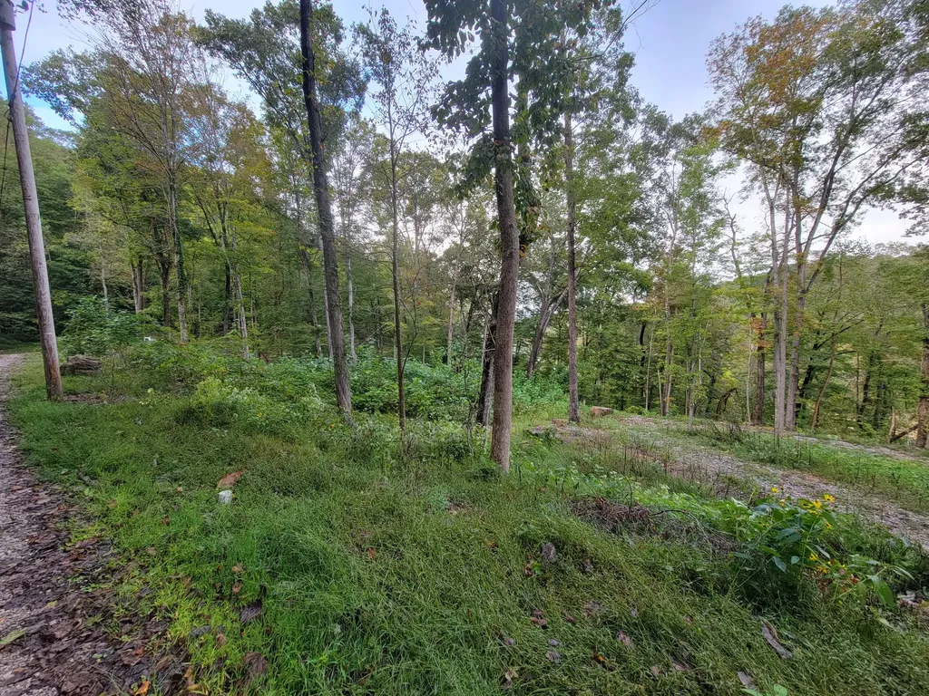 150 Punchs End Burnside KY 42519